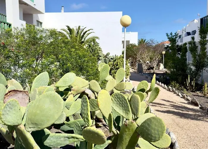 아파트 Casita Perla Blanca 코스타 데 안티과